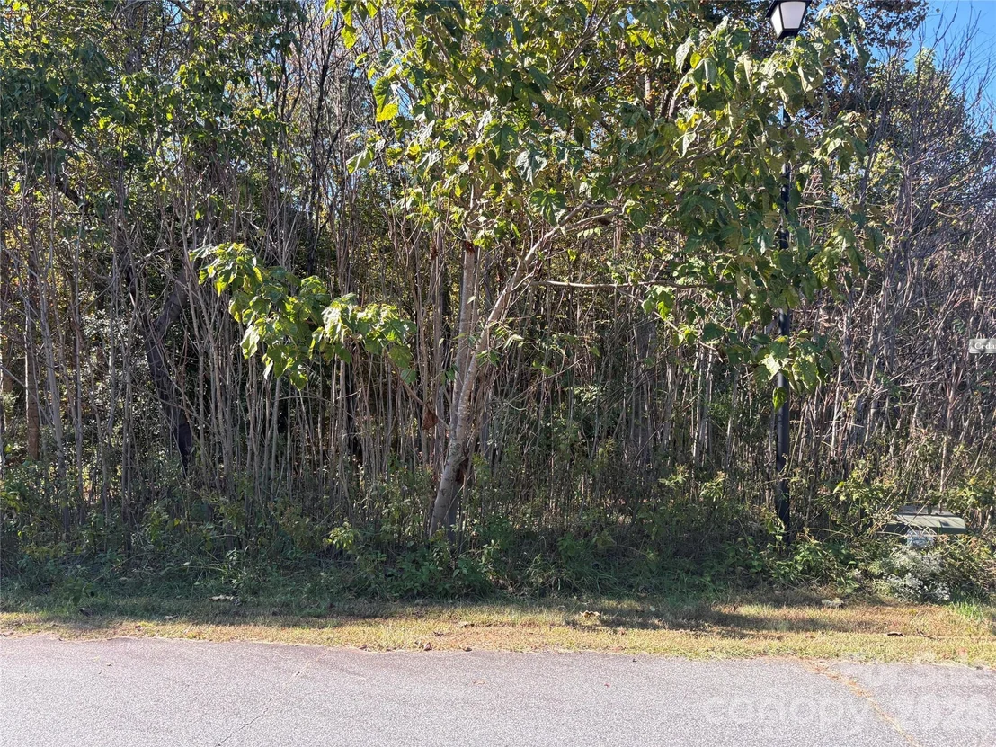 Photo of Lot 15 Hickory Loop