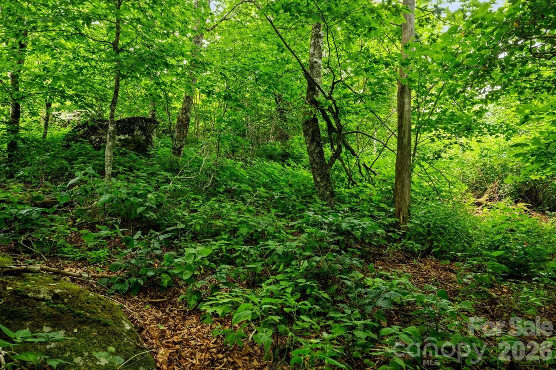Photo of Unit 96 at Lot 96 Cloud Spring Drive