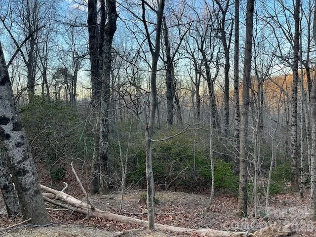 Photo of Lot 79 Arrowhead Trail