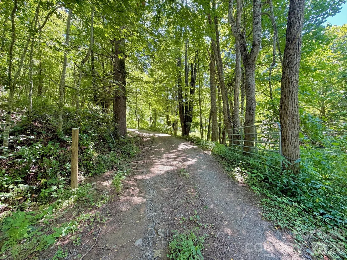 Photo of 321 Grays Shadow Lane
