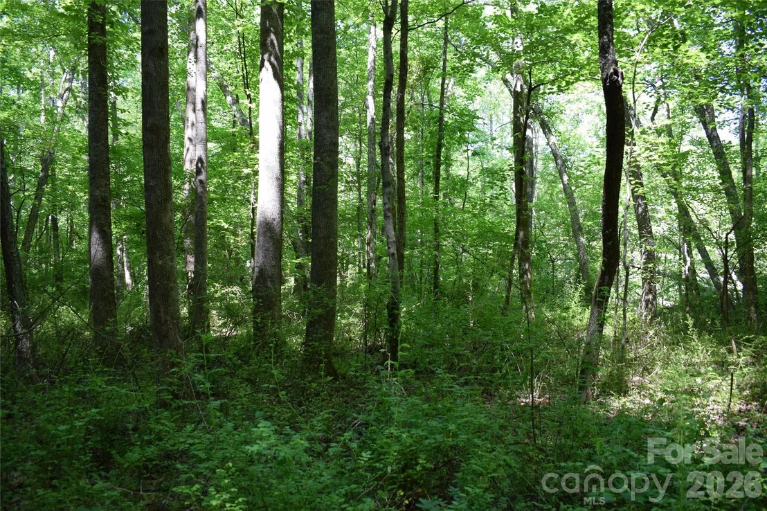Photo of 0 Floyd Blackwell Road