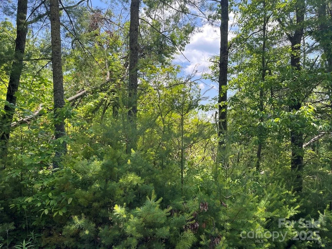 Photo of 0000 Humpback Mountain Road