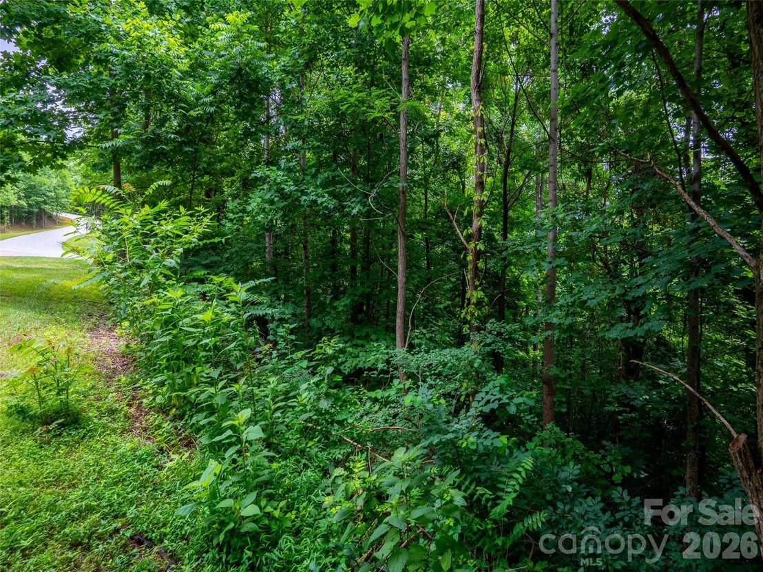 Photo of 236 Nottingham Drive