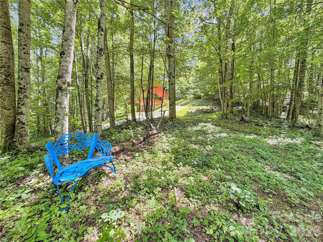 Photo of 321 Grays Shadow Lane