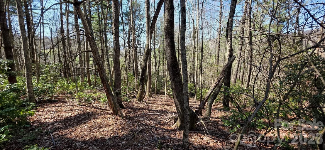 Photo of 000 Nettle Knob Road