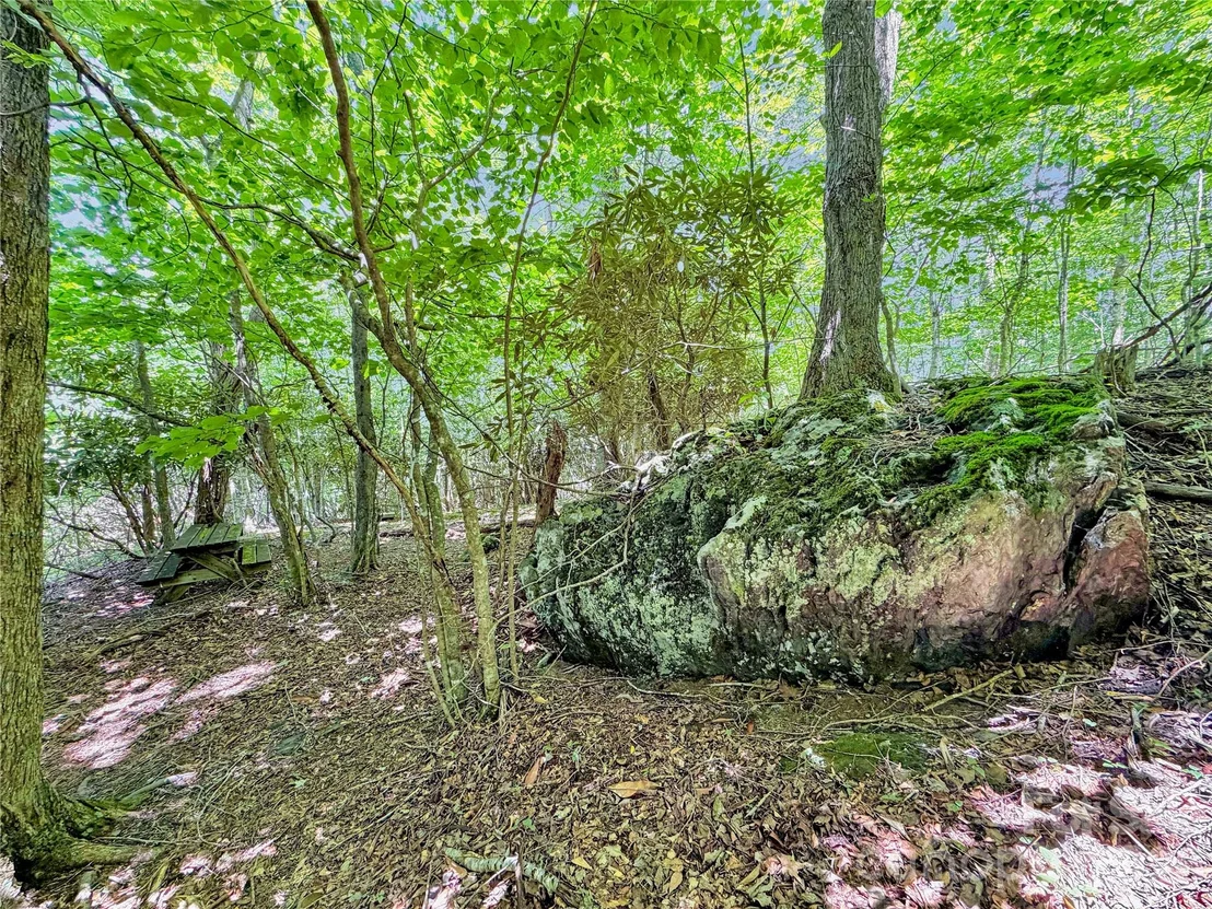 Photo of 321 Grays Shadow Lane