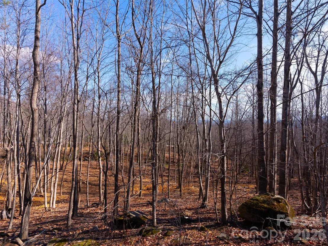 Photo of 220 Chesterfield Drive