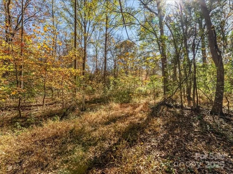 Photo of 304 Winding Creek Drive