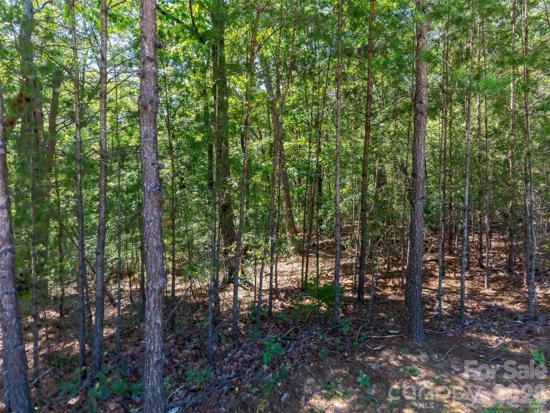 Photo of Lot 2006 Deep Gap Farm Road W