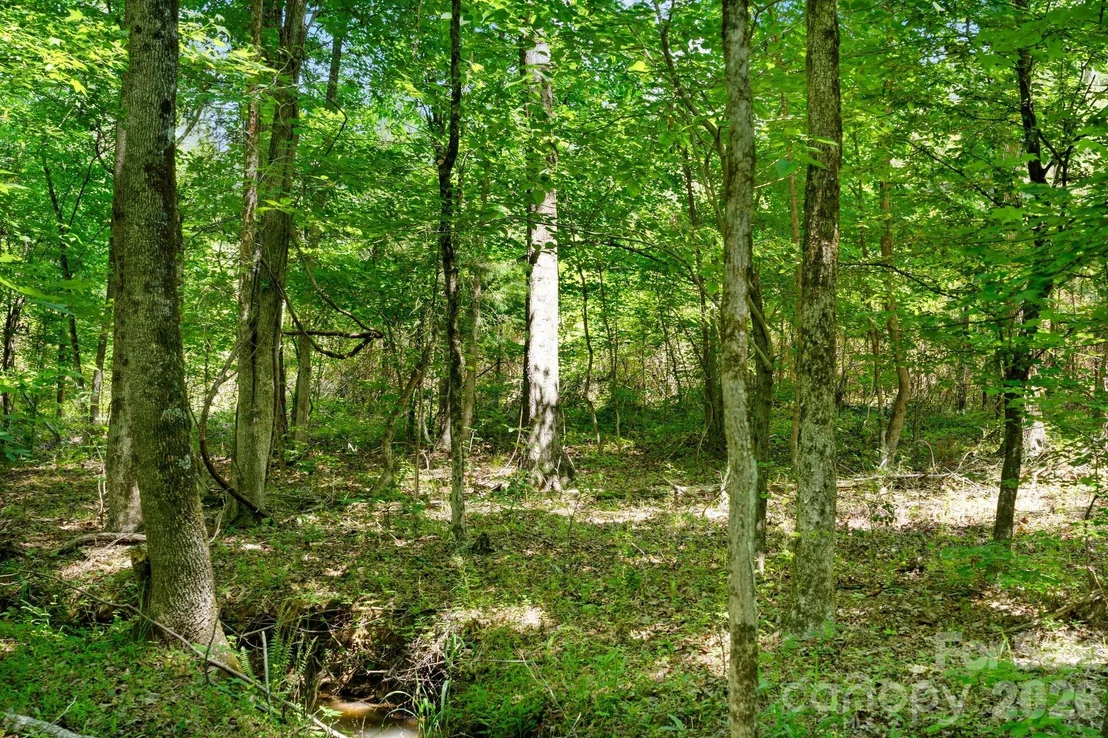 Photo of 0000 Ashford Ferry Road