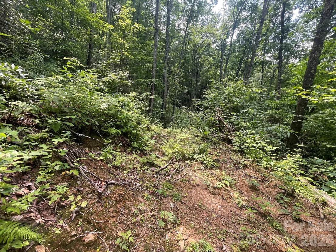 Photo of 242 Floyd Road