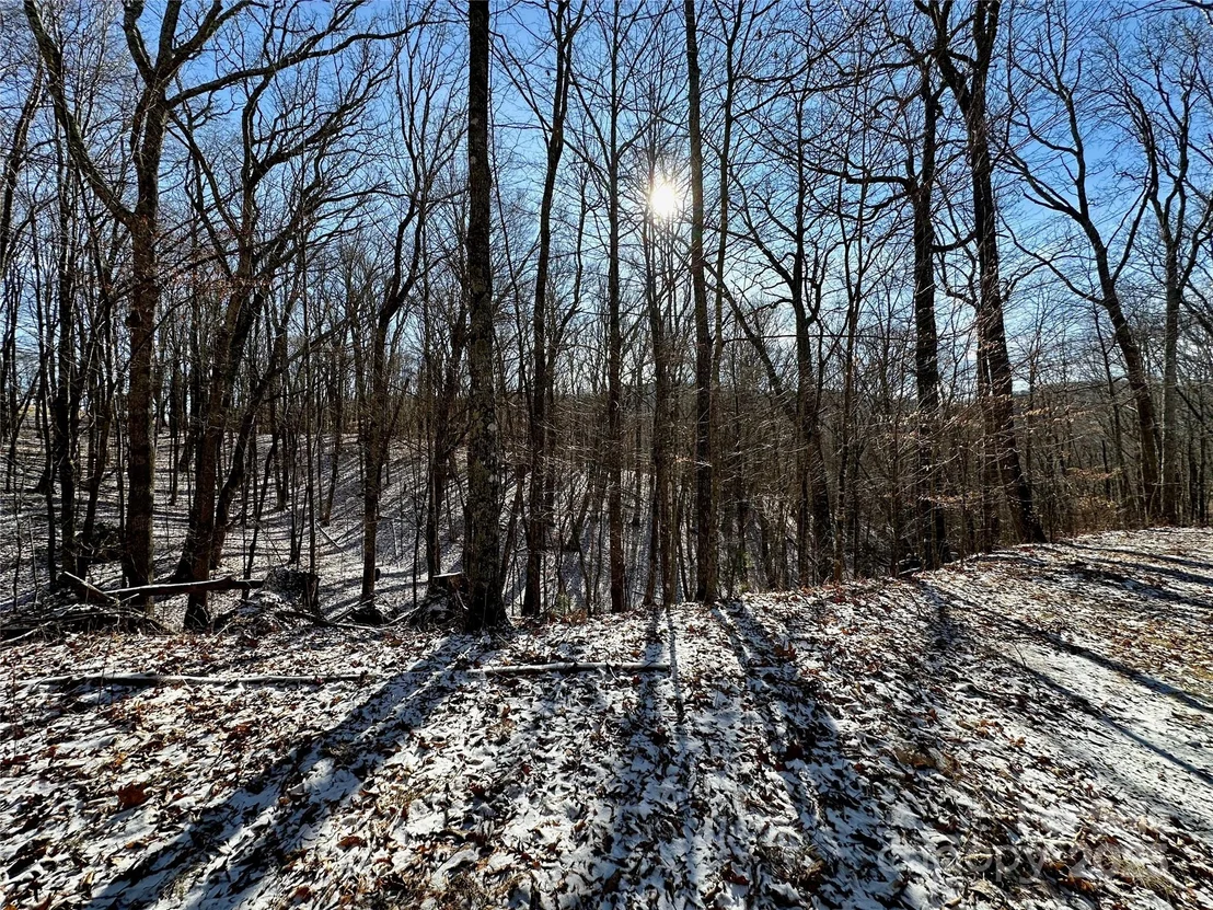 Photo of 149 Painter Road