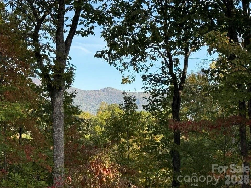 Photo of 160 Caledonia Road
