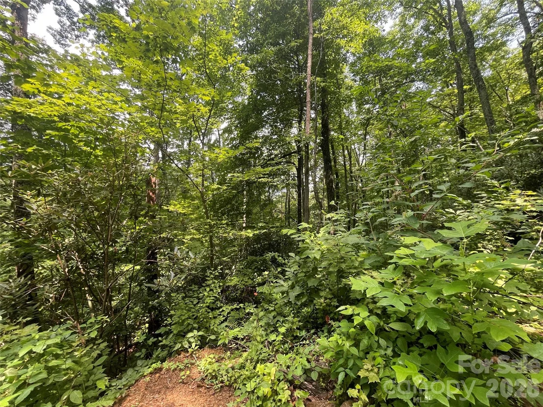 Photo of 242 Floyd Road