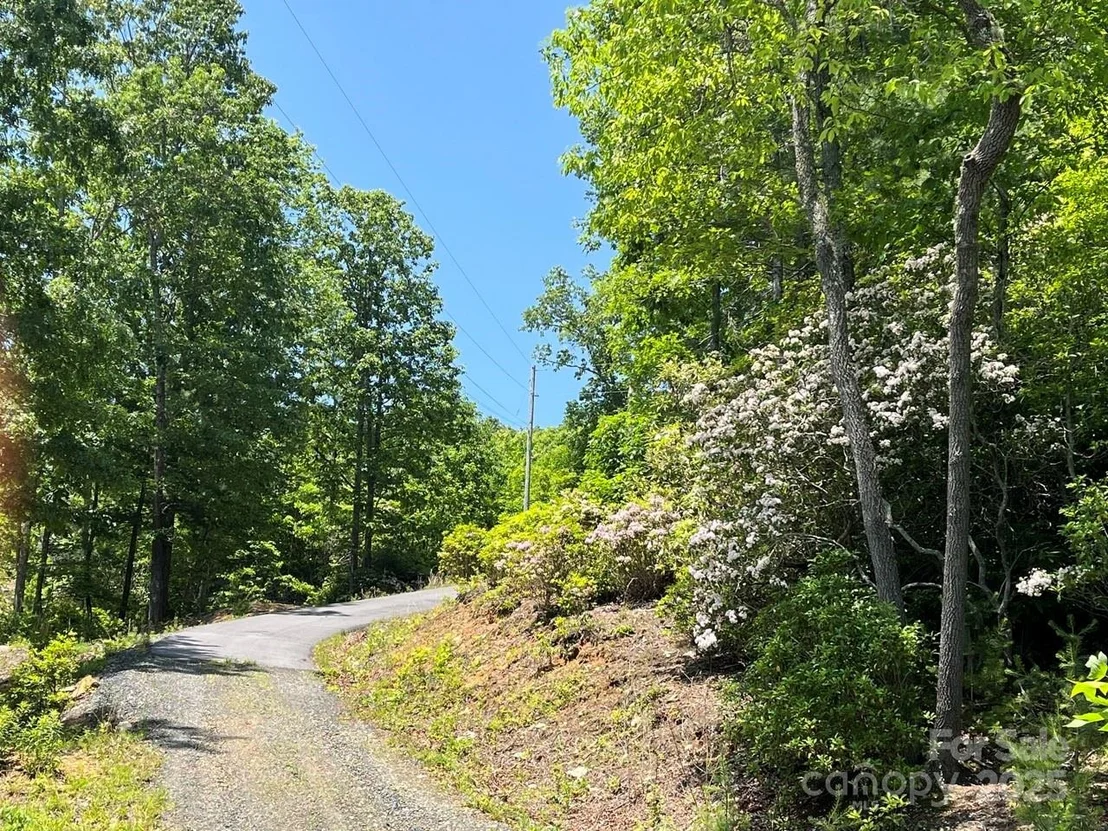 Photo of 0000 Humpback Mountain Road