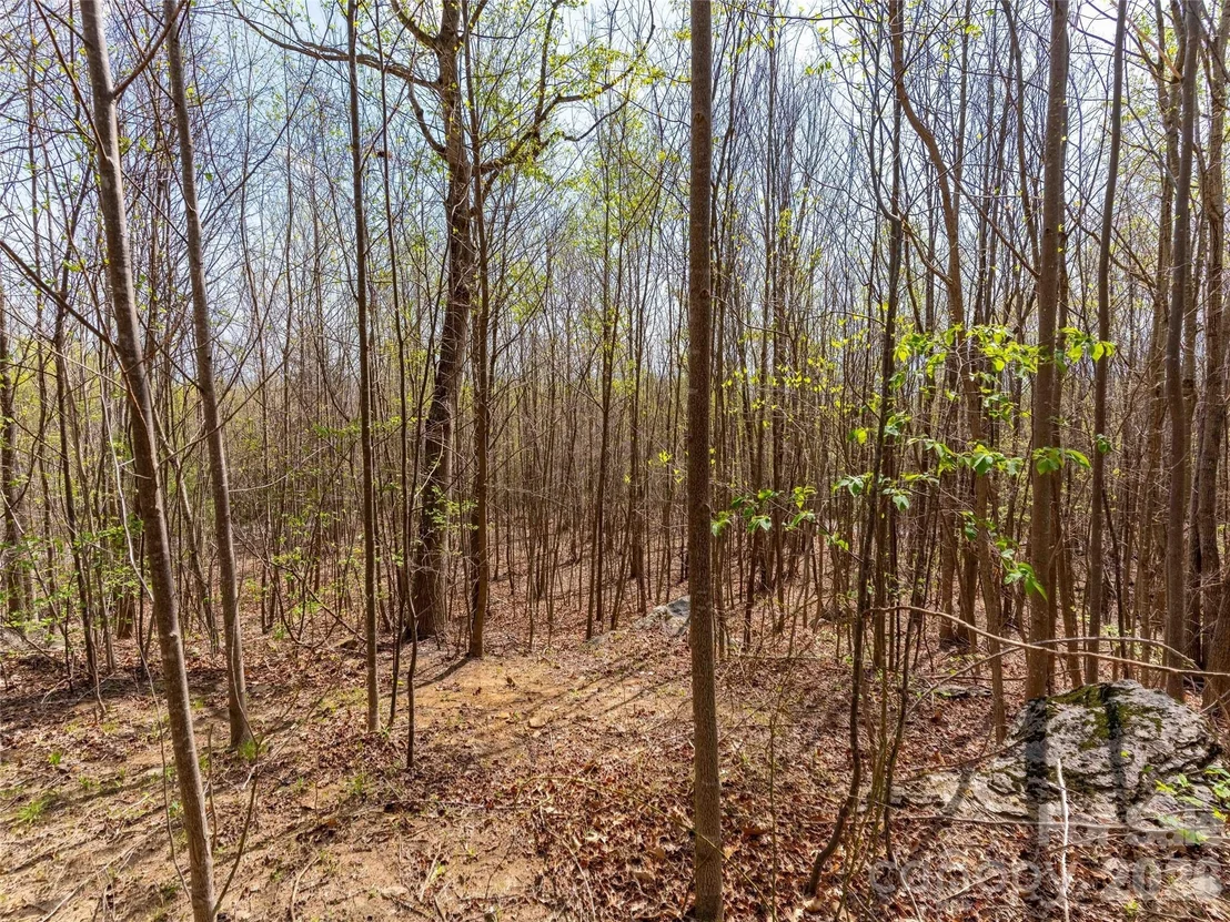 Photo of Unit 196 at Lot 196 Cherry Hill