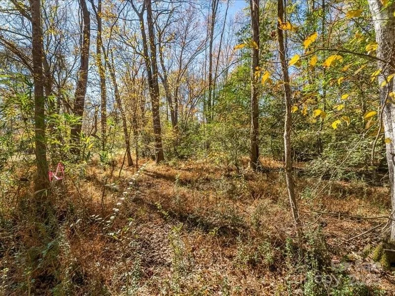 Photo of 302 Winding Creek Drive