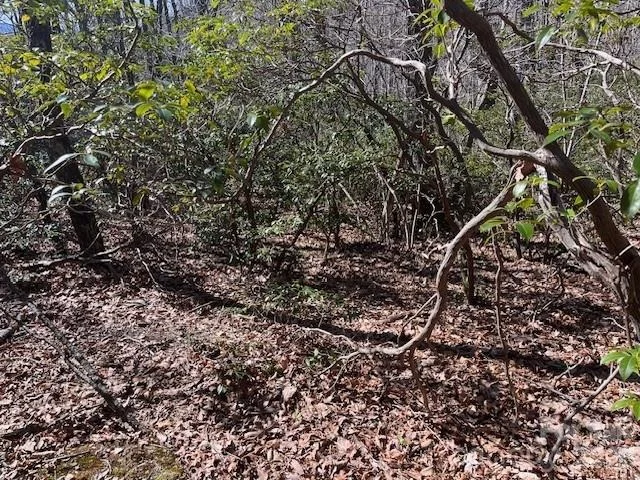 Photo of Lot 79 Arrowhead Trail