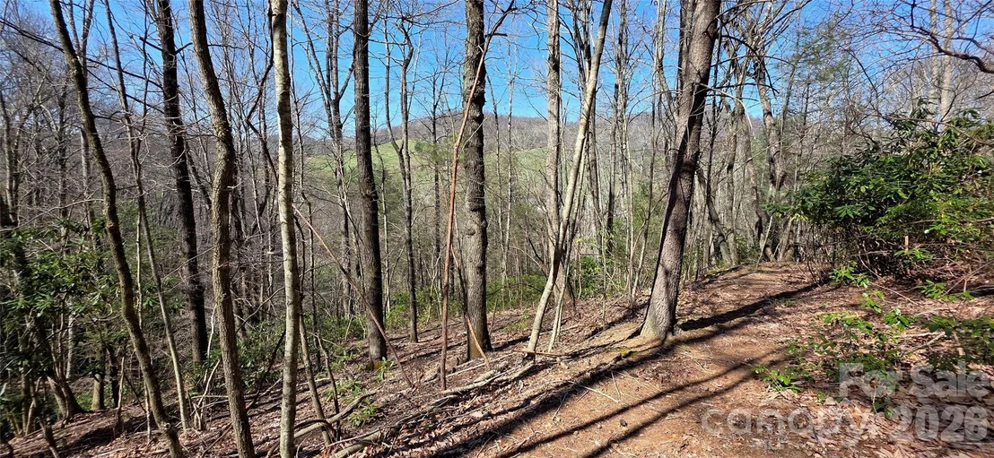 Photo of 000 Nettle Knob Road