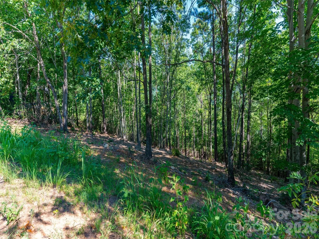 Photo of 2026 Deep Gap Farm Road E