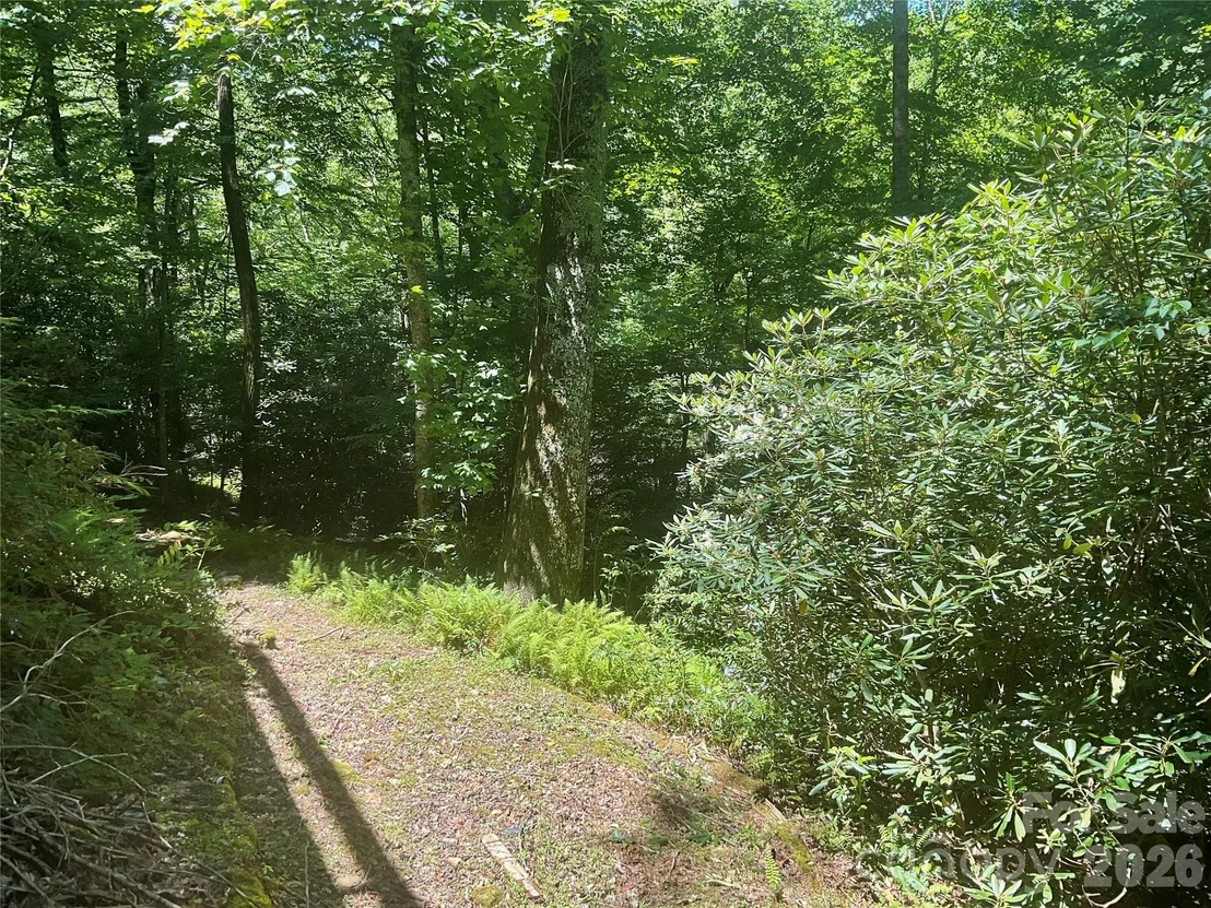 Photo of 903 Winter Star Loop