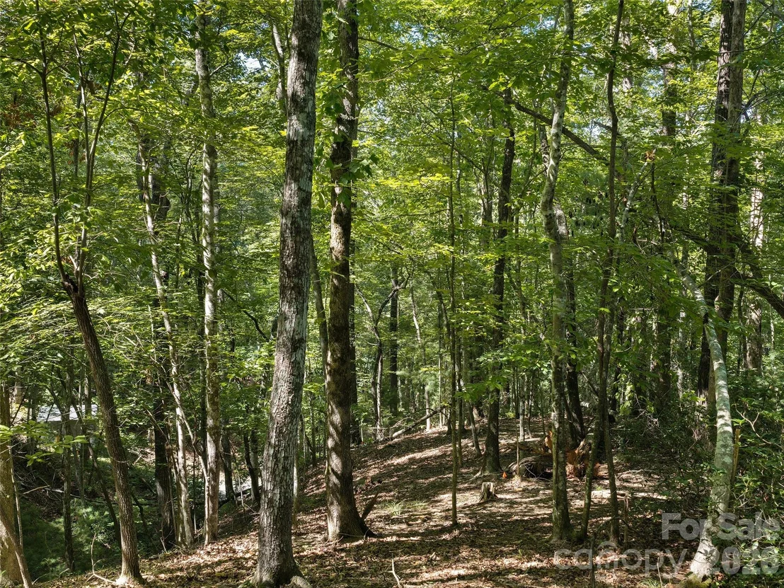 Photo of Lot #13 South Cove Road