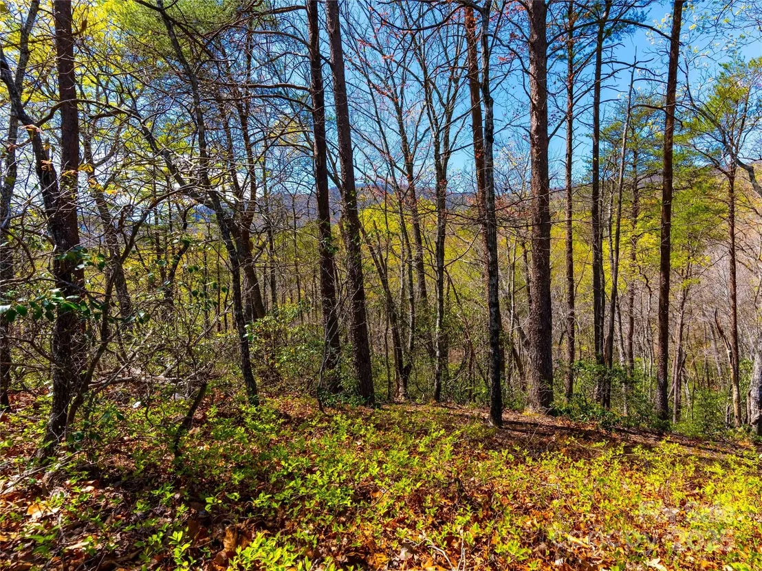 Photo of 107 Deep Gap Road E