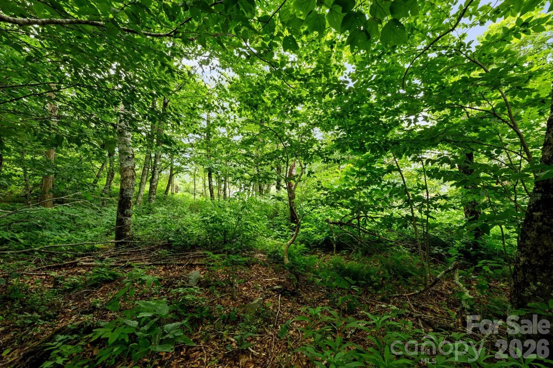 Photo of Unit 96 at Lot 96 Cloud Spring Drive