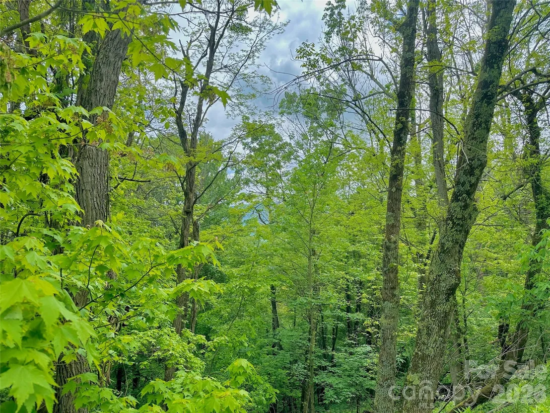 Photo of TBD Alpine Drive