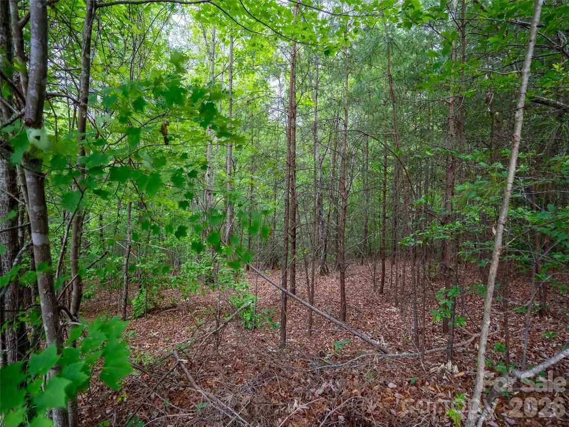 Photo of LOT 2009 Deep Gap Farm Road W