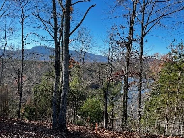 Photo of 23 Mountain Parkway