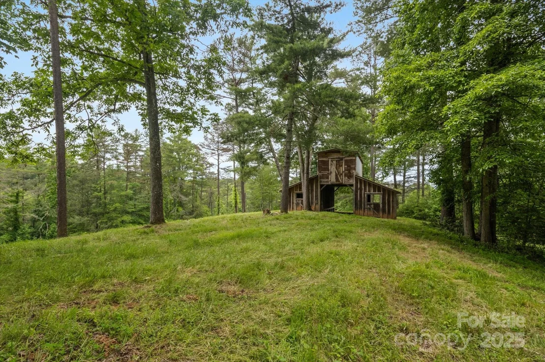 Photo of 942 Paint Fork Road