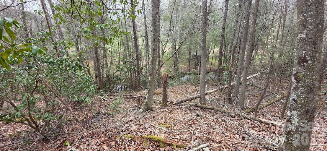 Photo of 000 Nettle Knob Road
