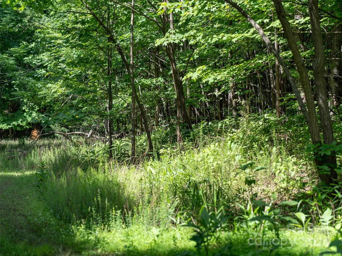 Photo of 199 Cherry Hill None