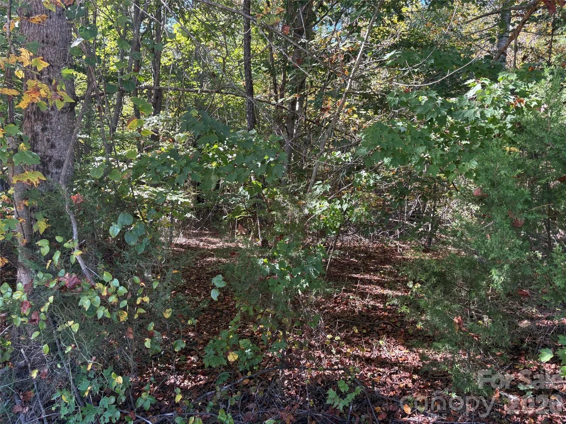 Photo of Lot 15 Hickory Loop