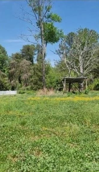 Photo of 2195 Otis Dellinger Road