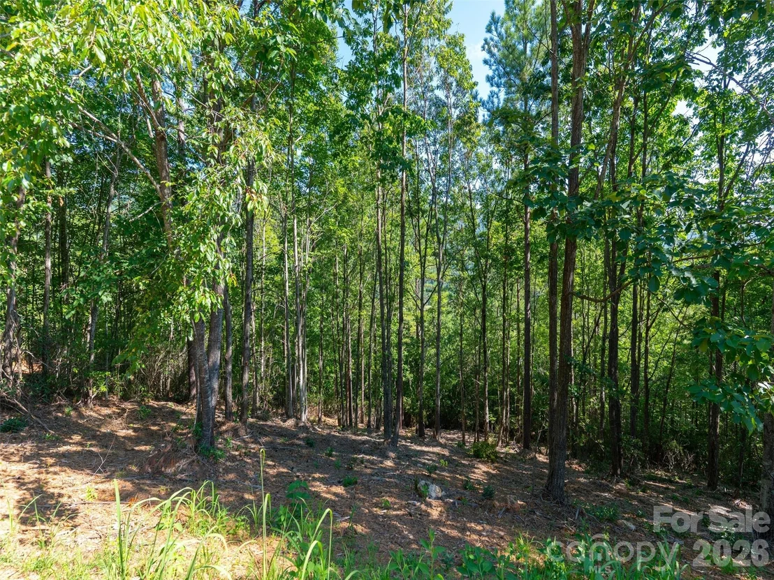 Photo of 2026 Deep Gap Farm Road E