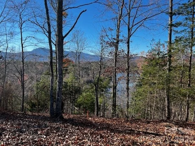 Photo of 23 Mountain Parkway