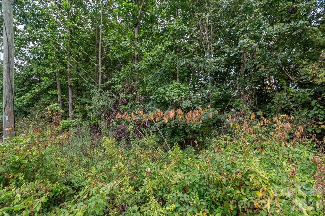Photo of 3229 James Road