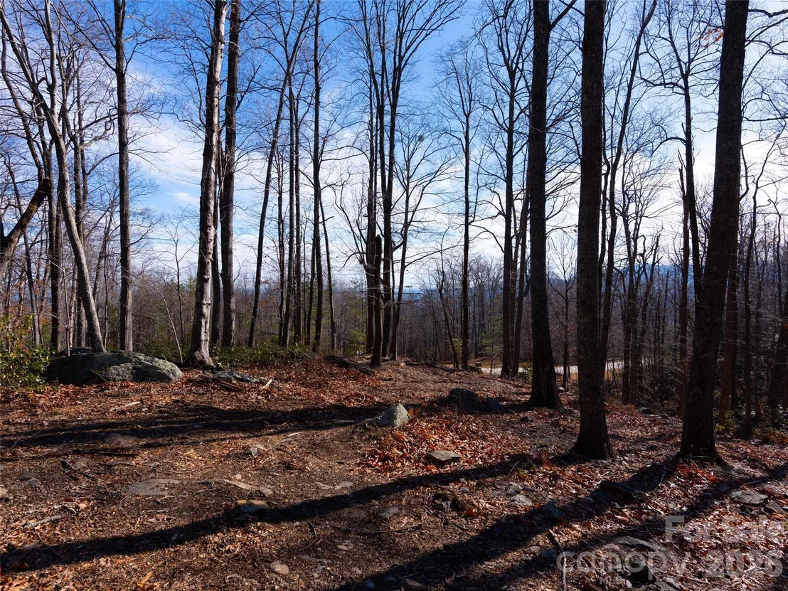 Photo of 220 Chesterfield Drive