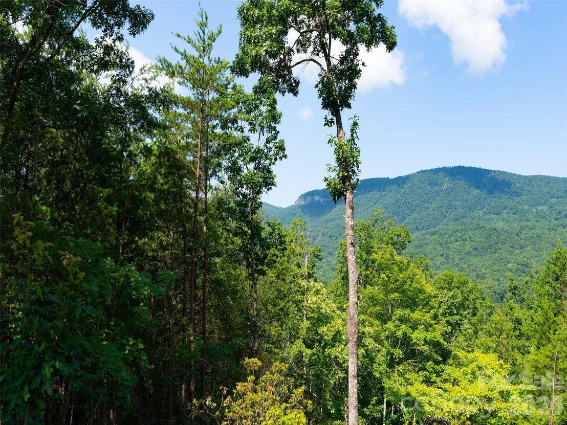 Photo of 40 Deep Gap Farm Road E