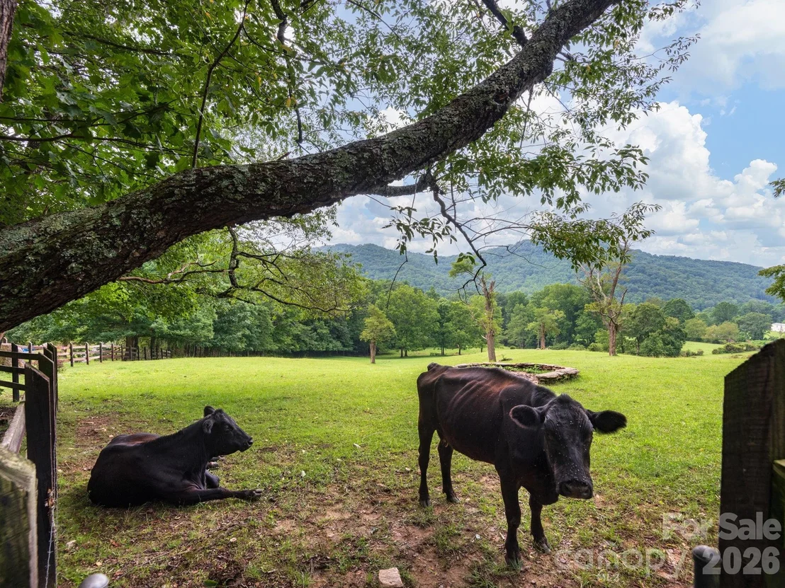 Photo of 24 Nesbitts Olde Farm Road