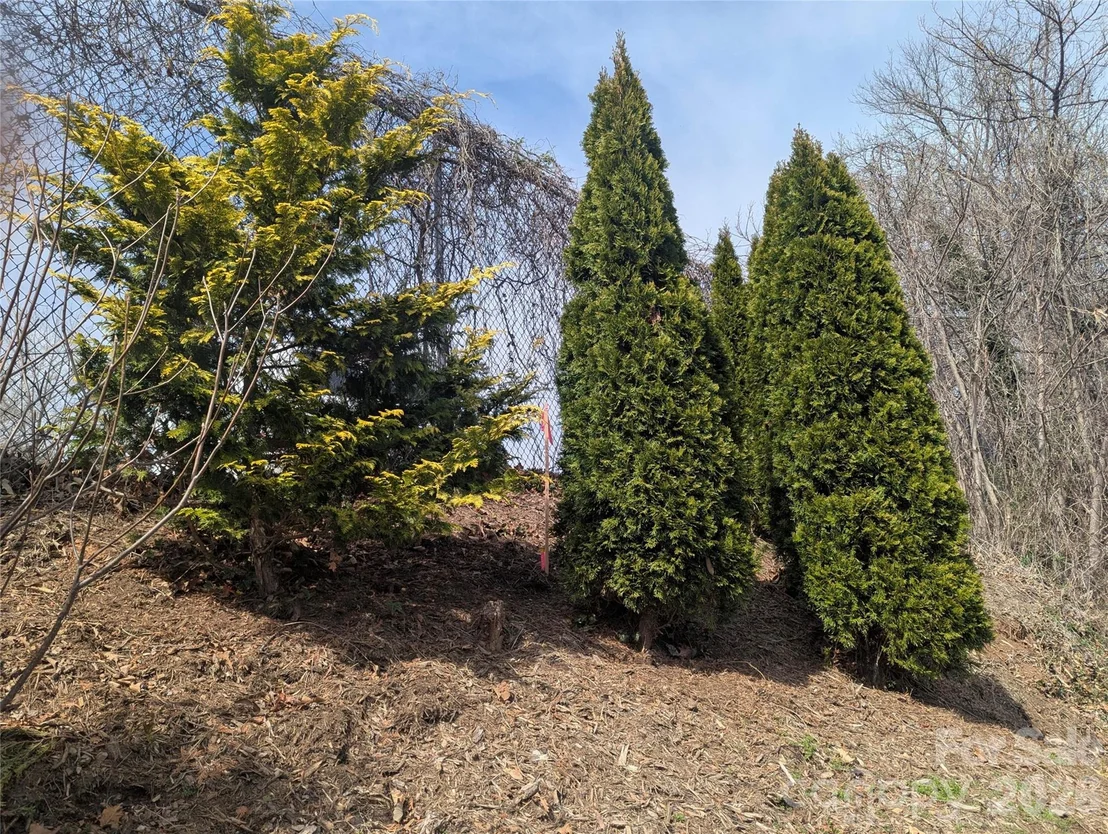 Photo of 39 Jefferson Drive