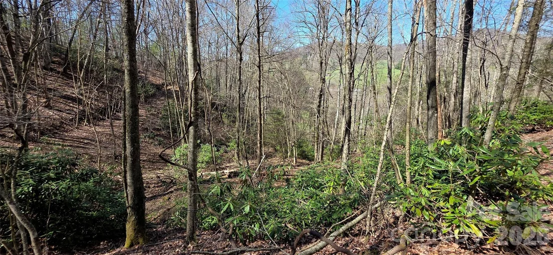 Photo of 000 Nettle Knob Road