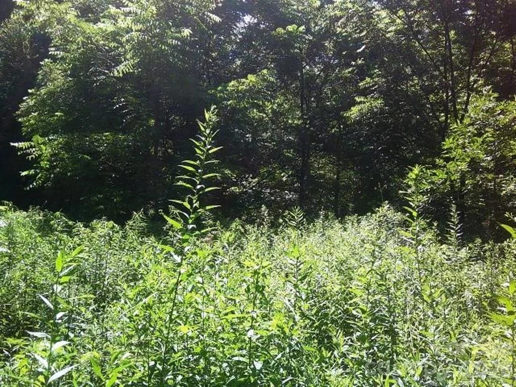 Photo of 3771 US Highway 421 Highway N