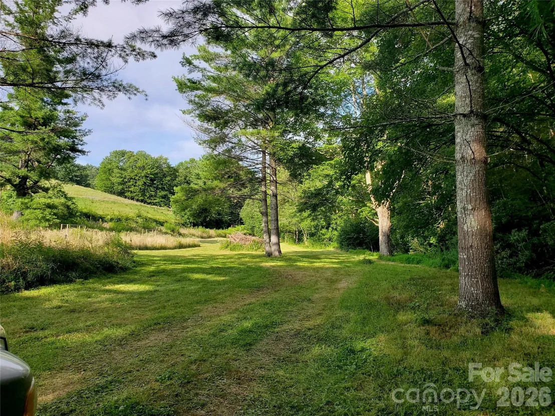 Photo of 000 Nettle Knob Road