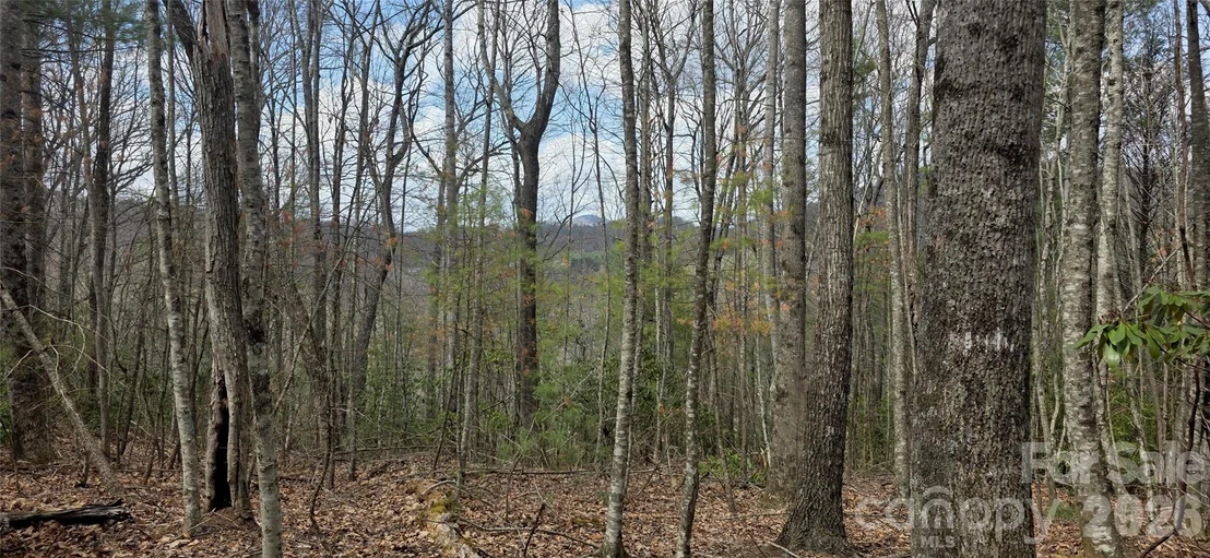 Photo of 000 Nettle Knob Road