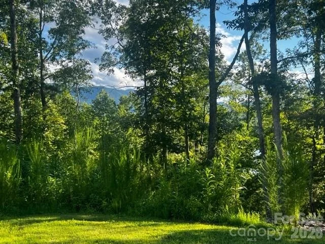 Photo of 23 Mountain Parkway