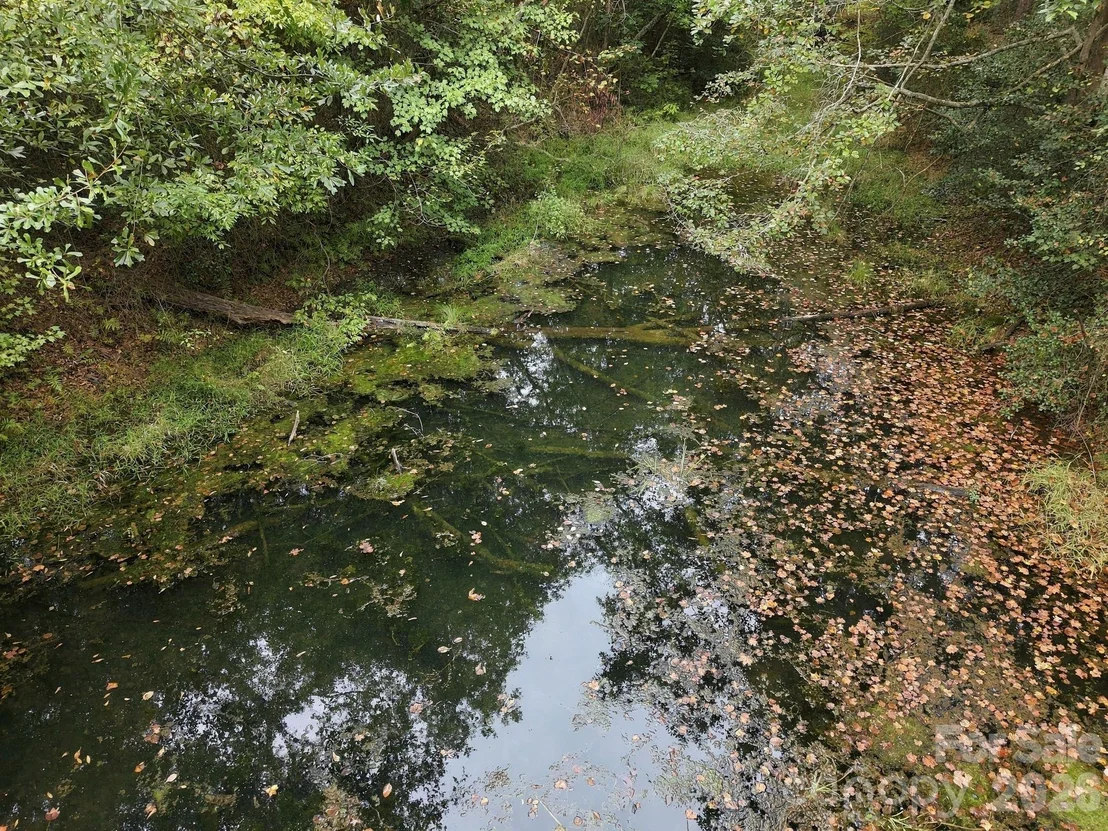 Photo of 250 Circus Trail