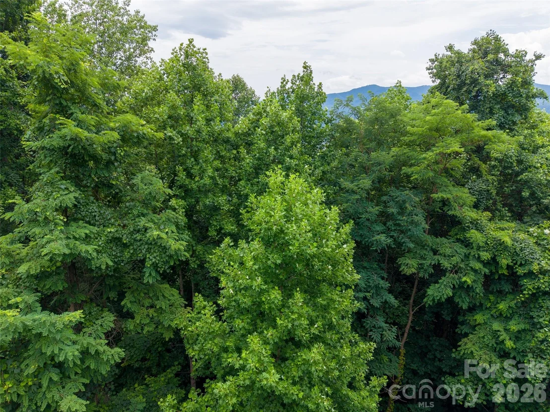 Photo of 236 Nottingham Drive